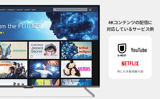 4Kのコンテンツの配信に対応しているサービス例 Amazon Prime Video Youtube U-NEXT NETFLIX 他にも多数視聴可能